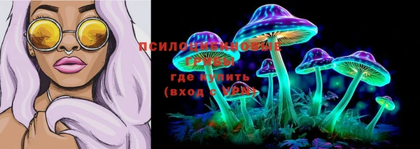 дживик Кинешма