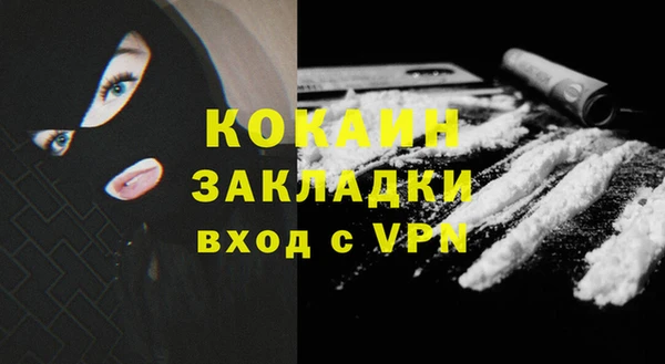 дживик Кинешма