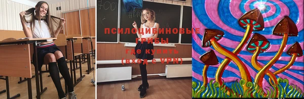 дживик Кинешма